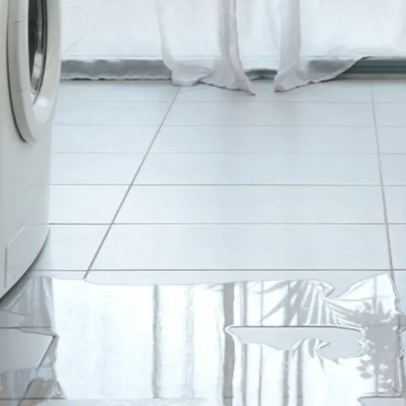 Appliance Leak Cleanup in San Tan Valley, AZ