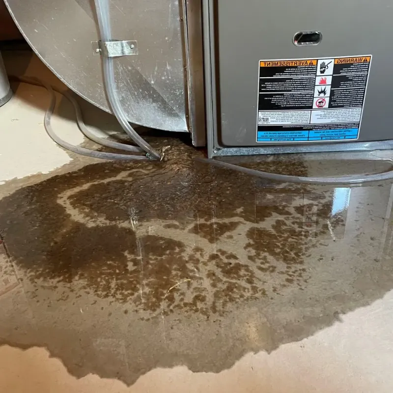 Pipe Burst and Leak Restoration in San Tan Valley, AZ